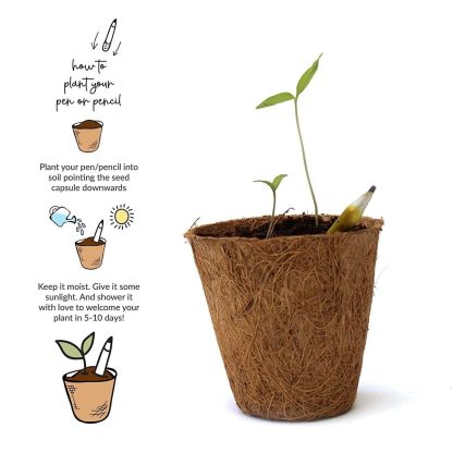 PLANTABLE PENS & PENCIL GIFT BOX- Mini GIFT BOX (BLACK HARD BOX) - Image 3