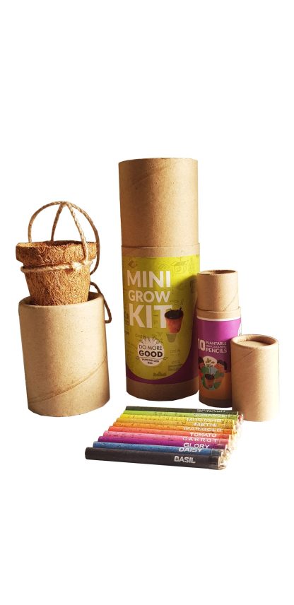 PLANTABLE PENS & PENCIL GIFT BOX- Mini GIFT BOX (BLACK HARD BOX) - Image 5